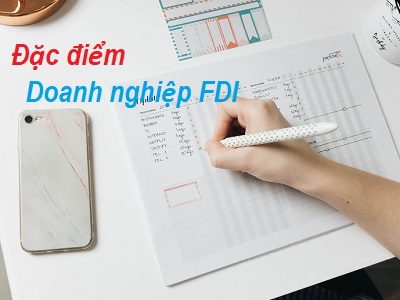 doanh nghiệp FDI là gì
