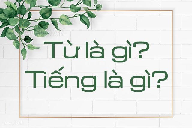 Tiếng là gì, Từ là gì? Phân biệt Tiếng và Từ trong tiếng Việt